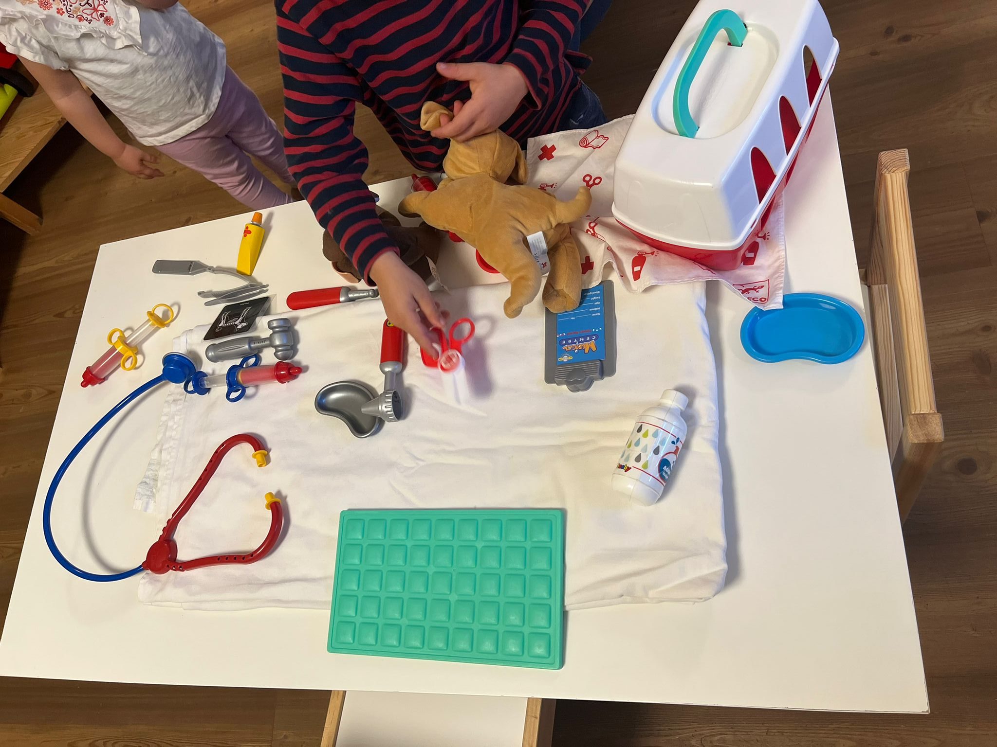 Les Ptits-vétérinaires