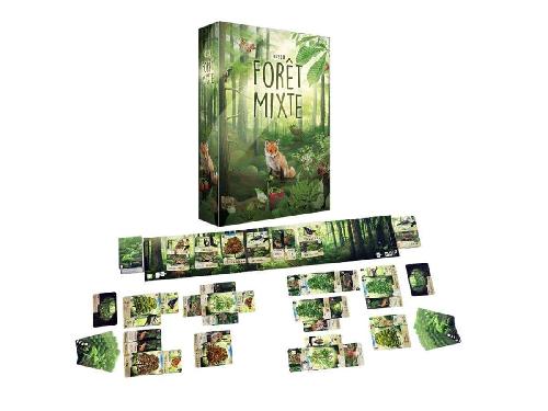Forêt Mixte